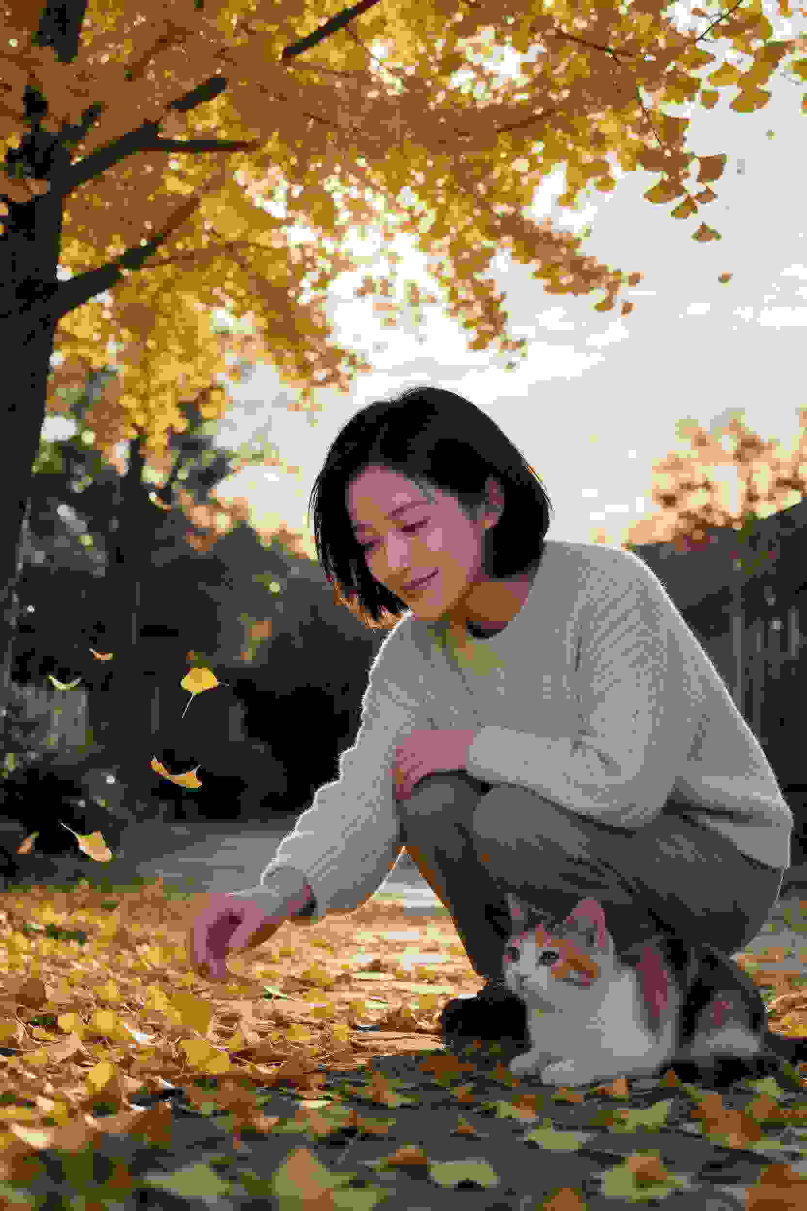 命运之光